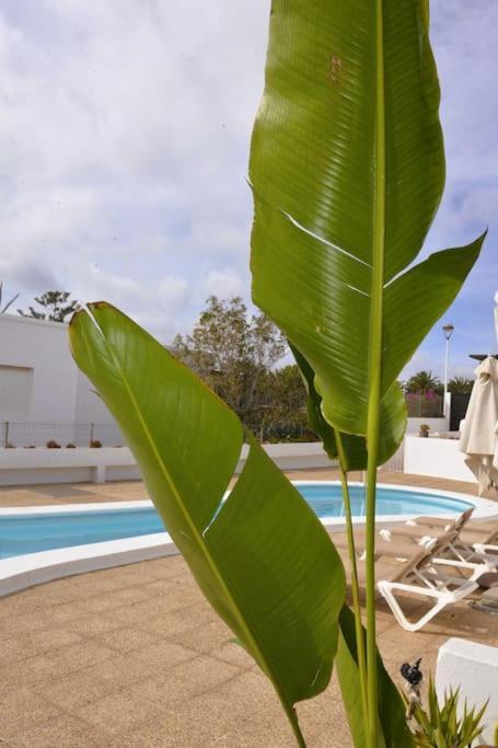 Apartamento Lapa Tias Ngoại thất bức ảnh